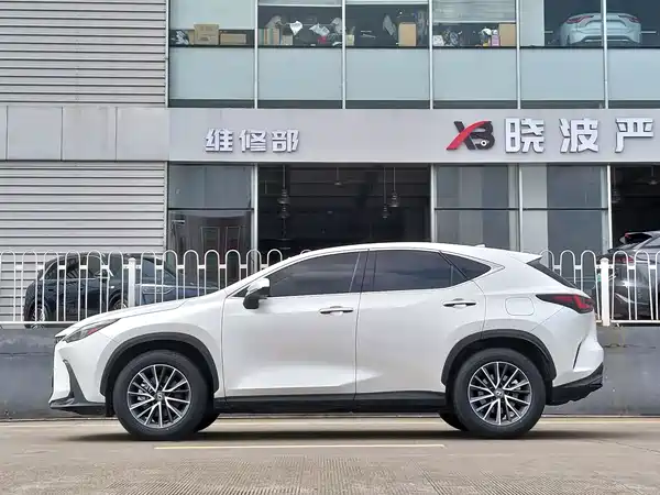 Lexus NX 2023, фото 17