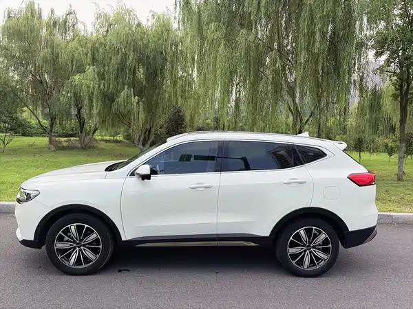 Haval H6 2023, фото 4