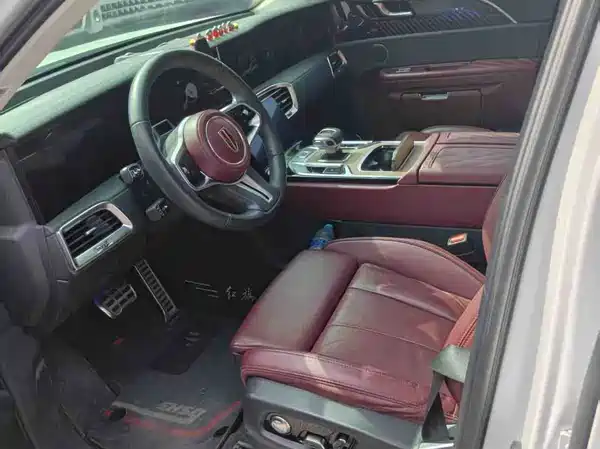 Hongqi E-HS9 2021, фото 4