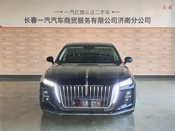 Hongqi H5 2024, фото 2