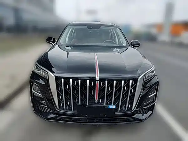 Hongqi HS5 2023, фото 4