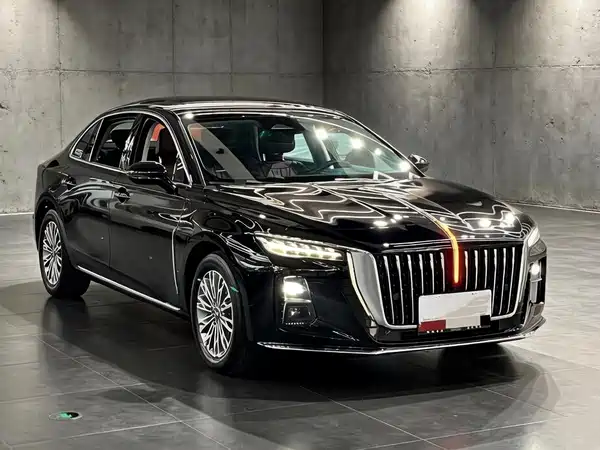 Hongqi H5 2023, фото 3