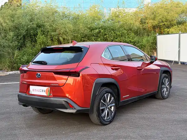 Lexus UX EV 2020, фото 13
