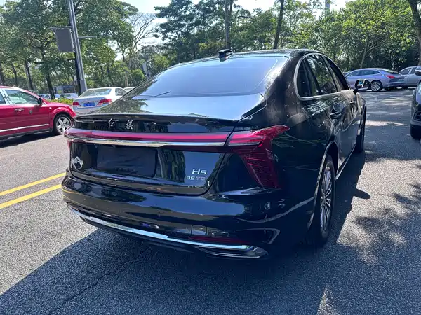 Hongqi H5 2024, фото 8
