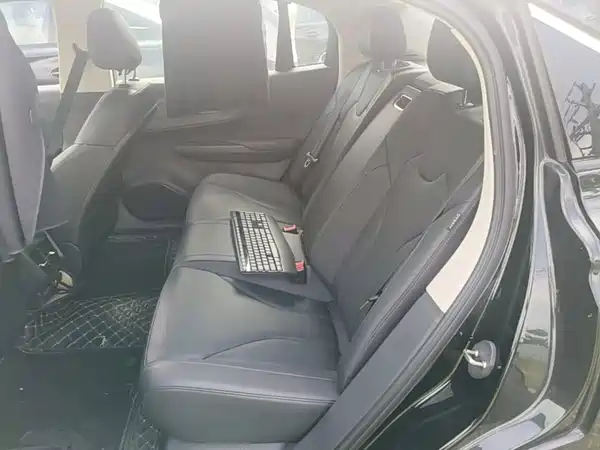 Hongqi E-QM5 2023, фото 21