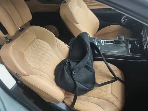 Hongqi HS5 2023, фото 25