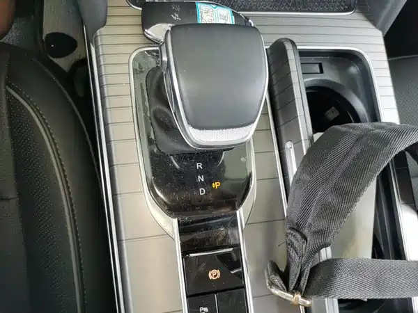 Hongqi HS7 PHEV 2024, фото 14