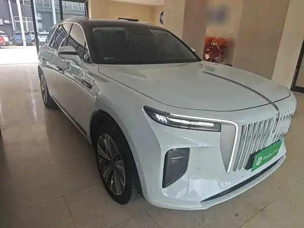 Hongqi E-HS9 2022, фото 4