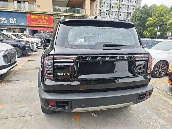 Haval Dargo 2021, фото 18