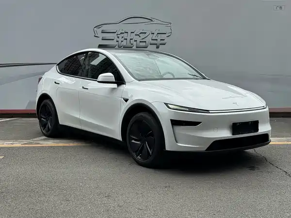 Tesla Model Y 2025, фото 3