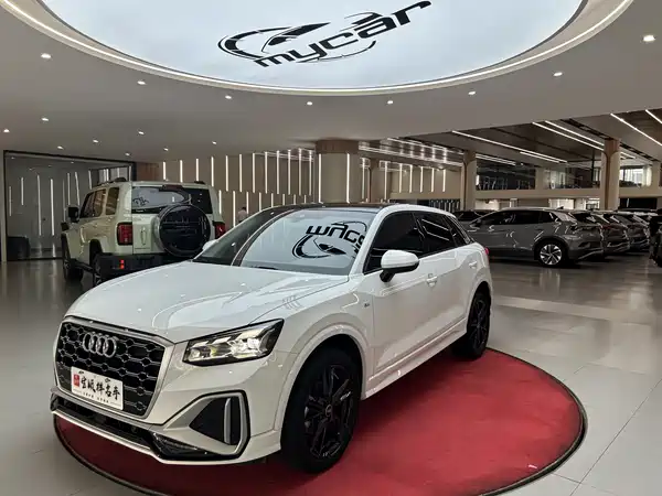 Audi Q2L 2022