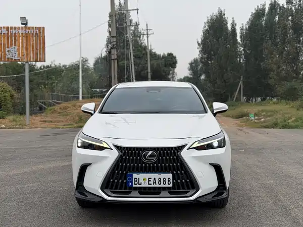 Lexus NX 2022, фото 2