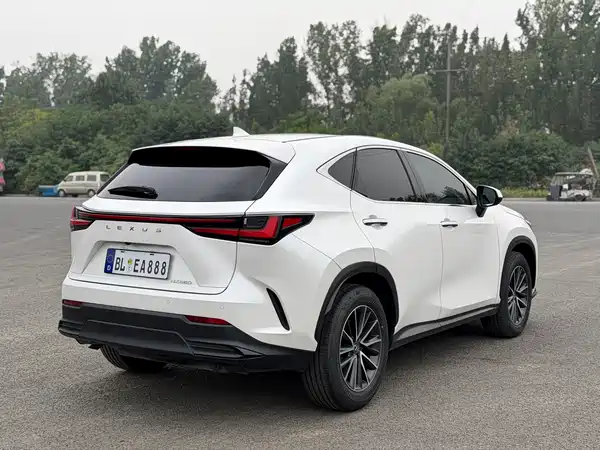 Lexus NX 2022, фото 11