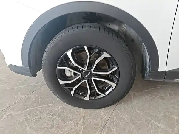 Haval H6 2021, фото 22
