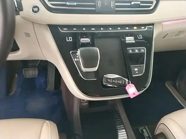 Hongqi HQ9 2023, фото 14