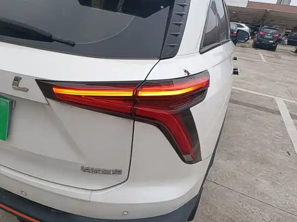 Haval Shenshou 2022, фото 7