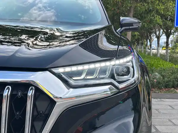 Hongqi HS5 2022, фото 28