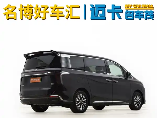 Hongqi HQ9 PHEV 2024, фото 4