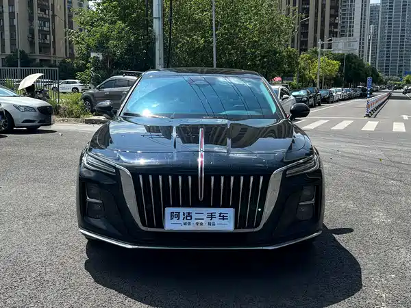 Hongqi H5 2023, фото 2