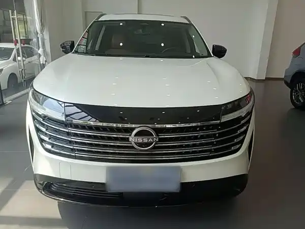 Nissan Terra 2024, фото 3