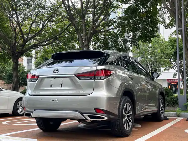 Lexus RX 2020, фото 9