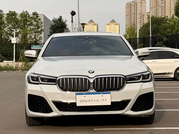 BMW 5 Series 2023, фото 19