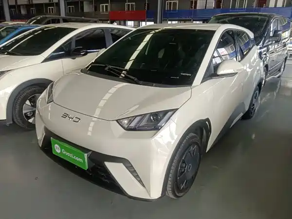 BYD Seagull 2024