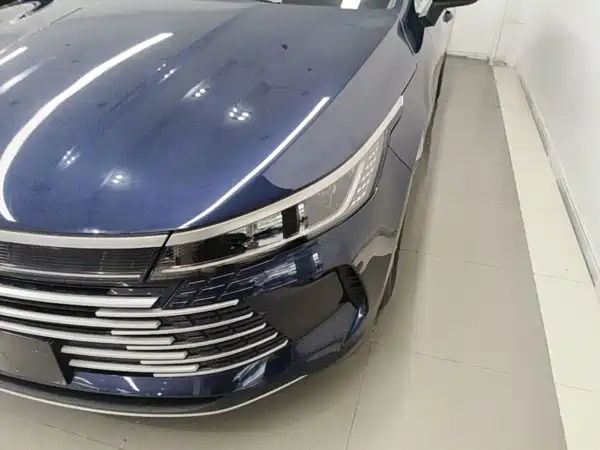 BYD Destroyer 05 2023, фото 17