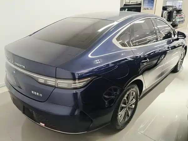 BYD Destroyer 05 2023, фото 4