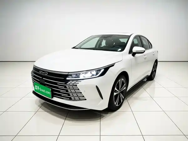BYD Destroyer 05 2022