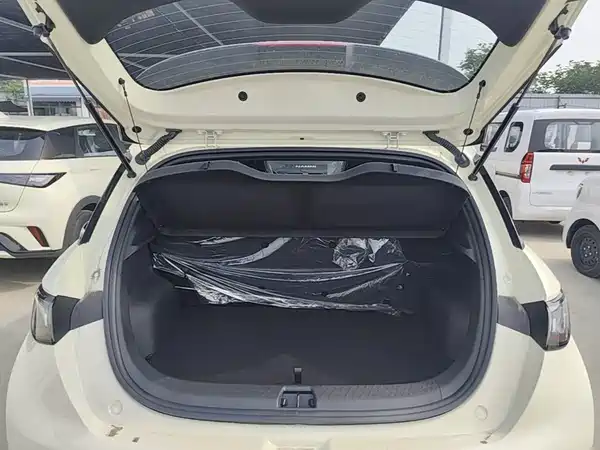BYD Dolphin 2025, фото 19