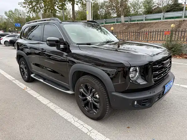 Haval Dargo 2021, фото 3