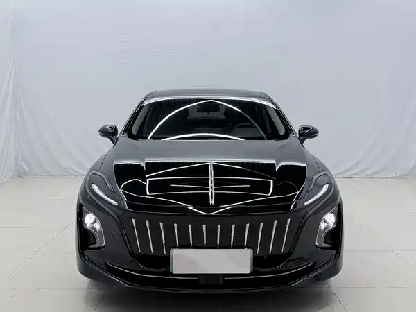 Hongqi E-QM5 2023, фото 3