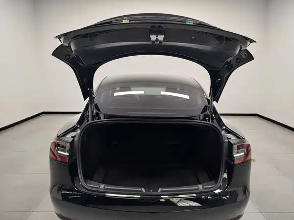 Tesla Model 3 2022, фото 11