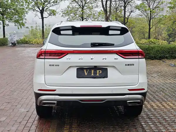 Haval H6 2023, фото 7
