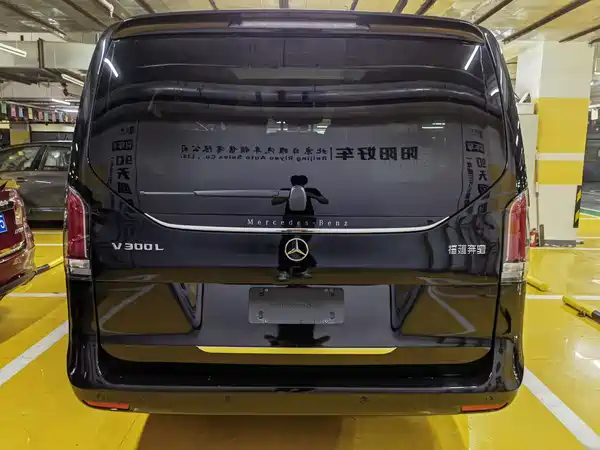Mercedes-Benz V-Class 2024, фото 8