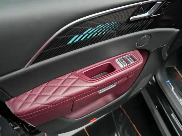 Hongqi E-HS9 2021, фото 6