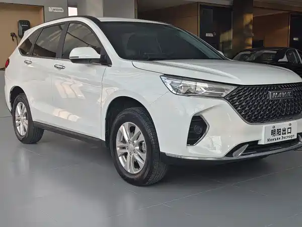 Haval M6 2021, фото 8