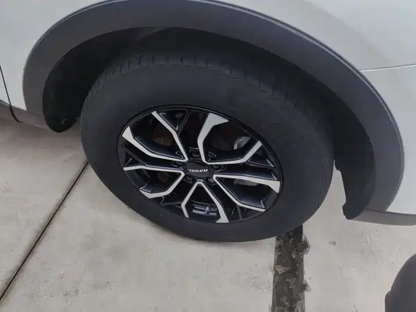 Haval H6 2021, фото 6