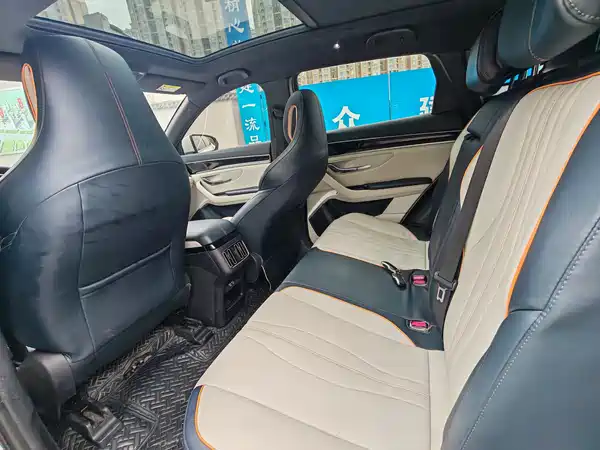 BYD Song PLUS EV 2021, фото 5