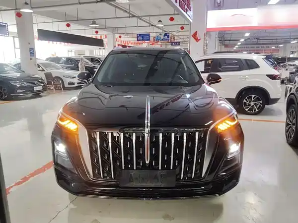 Hongqi HS5 2023, фото 2
