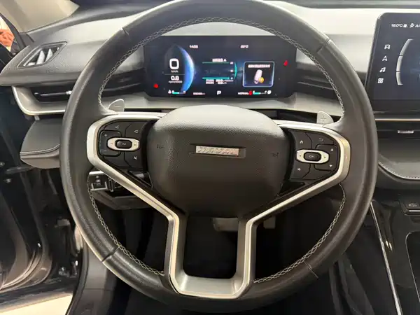 Haval H6 2023, фото 9