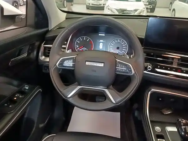 Haval H6 2021, фото 10