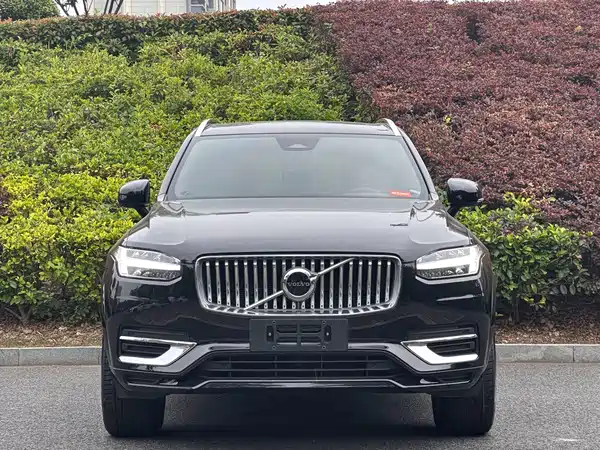 Volvo XC90 2024, фото 3
