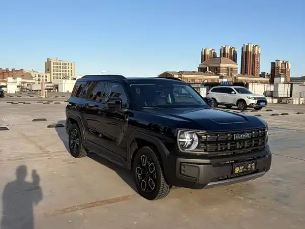 Haval Cool Dog 2022, фото 3