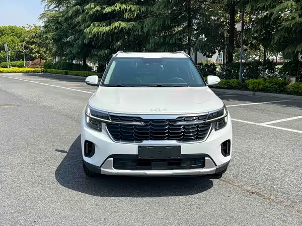 Kia Seltos 2023, фото 4