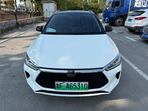 BYD e2 2021, фото 2