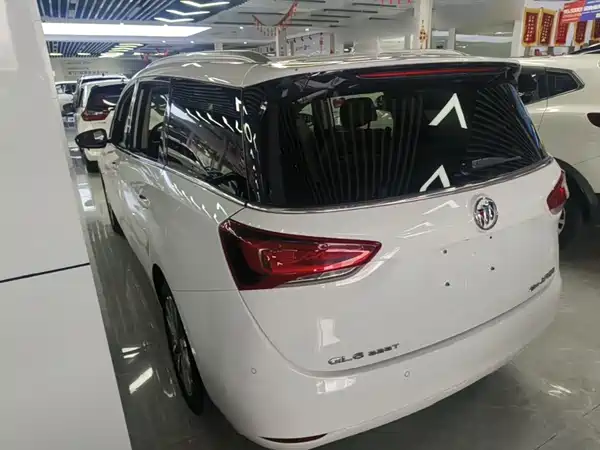 Buick GL6 2021, фото 4