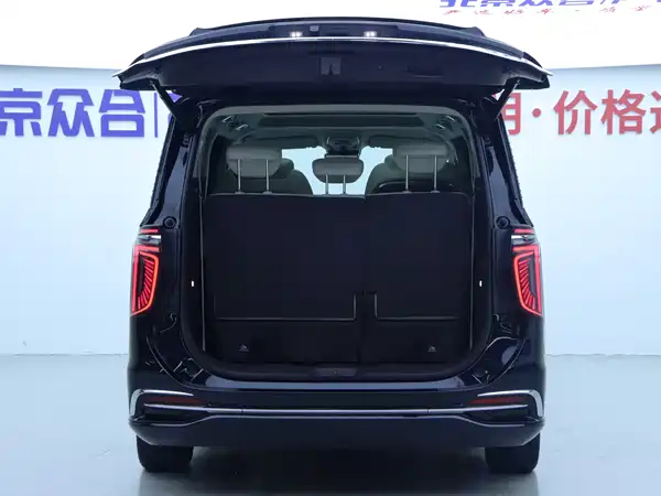 Hongqi HQ9 2023, фото 29
