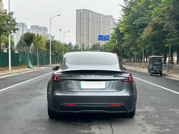 Tesla Model 3 2023, фото 8